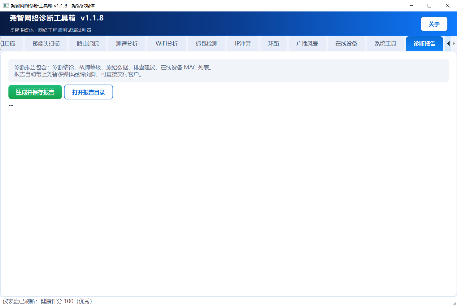 诊断报告界面截图